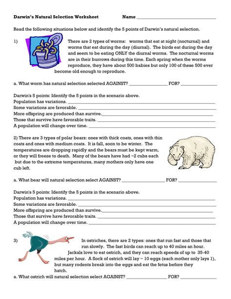 darwin’s natural selection worksheet